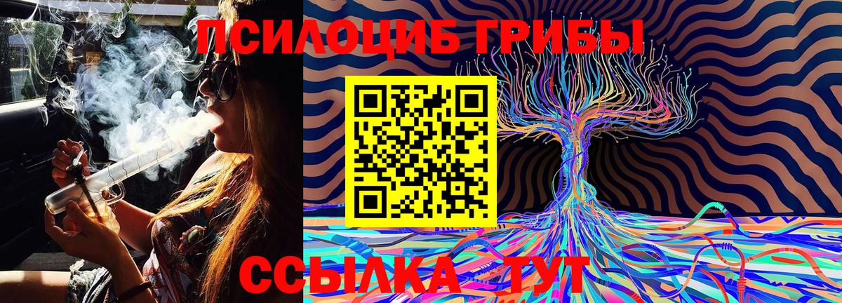 Псилоцибиновые грибы Cubensis Можайск
